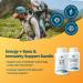Earth's Splendor Energy + Bone & Immunity Support Energy Supplements: Vitamin B12 & Vitamin D Bundle. IU- Support Gluten Free No Artificial Colors or Flavors Helps Energy Metabolism & Immune Health - Buy Online on GoSupps.com