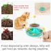 Interactive Chew it Cat Toy for Indoor Cats | Teaser Supplies | Birthday Gift | Tracks Toy | Turquoise - Buy Online on GoSupps.com