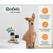 Wolf Belly - 100% Natural Omega 3 for Dogs and Cats (60 Capsules) Fish Oil Capsules Rich in DHA and EPA Anti-inflammatory Joints Healthy Skin and Shiny Coat - Made in EU - Buy Online on GoSupps.com