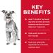 Hill's Science Diet Wet Dog Food Adult 7+ Chicken & Vegetables Stew 3.5oz (12 Pack) for Senior Dogs - Buy Online on GoSupps.com