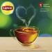 Lipton Family Size Unsweetened Iced Tea Bags - 24 Count (Pack of 6) - Buy Online on GoSupps.com