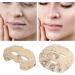 Qukaim Half Face Hydrating Mask Sheet Half Face Mask Sheet DIY Disposable Pre Cut Hydrating Moisturizing Face Mask Paper for Salon - Buy Online on GoSupps.com