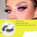 Daoder Fluffy Cat Eye False Eyelashes Set - 10 Pairs Wispy Long Dramatic Volume Lashes with Glue & Tweezers - 18mm Soft & Light Fake Eyelashes (Fluffy Lashes 09) - Buy Online on GoSupps.com