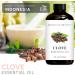 Brooklyn Botany Clove & Cedarwood Essential Oils 4 Fl Oz (Pack of 2) 100% Pure & Natural Spicy & Grounding Aromatherapy Blend - Buy Online on GoSupps.com