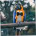 BESPORTBLE Flying Bird Diapers Parrot Bird Nappy Clothes Trendy Clothes Roleplay Costume Parakeet Cage Accessories Decorative Bird Clothes Pet Accessories Dreses Washable Cotton The Bird 12x6cm - Buy Online on GoSupps.com