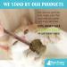 Raw Paws Catnip Lollipop (6-Pack) - Catnip Toys for Indoor Cats - Catnip Ball, Silvervine & Matatabi Stick for Cats - Buy Online on GoSupps.com