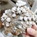 CIMWJOPS Natural Rough Crystalline Crystal Stone Zeolite Quartz Apophyllite Raw Rock Decorations Specimens Collection Bulk 1.0-1.15kg - Buy Online on GoSupps.com