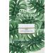 Organic Matcha Clay Mask - Collagen Booster Energize & Restore - 120g | Eco-Friendly Plant-Based Skincare - Buy Online on GoSupps.com