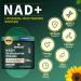 Liposomal NAD+ Supplement with Resveratrol Quercetin Nicotinamide Riboside - NMNH Alternative for Anti-Aging Cellular Energy Focus - High Purity NAD Supplement 960mg 80 Capsules (Pack of 1) - Buy Online on GoSupps.com