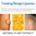 Lipoma Removal Cream 20g - Natural Treatment for Lipoma Care & Discomfort - Buy Online on GoSupps.com