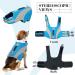 Hjyokuso Life Jacket for Dogs - Adjustable Reflective Swimming Aid with Strong Buoyancy & Rescue Handle - Perfect for Boating & Canoeing (Blue Size M) - Buy Online on GoSupps.com