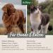 Aniforte MSM Powder for Dogs & Cats 300g - High-Purity 99.94% Organic Sulfur Joint Support - Buy Online on GoSupps.com