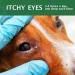 Uocasi Pet Eye Drops Dog Eye Cleaner Tear Stain Remover For Dogs & Cats Eyes Eases Itching & Irritation Care And Cleaning Around The Eyes - 60ML - Buy Online on GoSupps.com