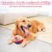 Moving Dog Toy Ball - Non-Toxic Plush Pet Toy for Active Training | Bite-Proof & Fun - Buy Online on GoSupps.com