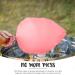 Baking Beauty and Beyond Marshmallow Flavour Premium Floss Sugar for Cotton Candy | Natural Ingredients | 800g Bulk Packaging - Buy Online on GoSupps.com