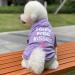 Cozy Cotton Teddy Winter Sweater for Dogs Red & Black Fleece Jacket | Christmas Costume for Pets - Buy Online on GoSupps.com