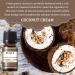 EUQEE 6PCS Premium Fragrance Oils Set for Coffee Shop - 10ml - Coffee Cake, Chocolate, Coconut Cream, Coconut & Vanilla, Black Opium - Buy Online on GoSupps.com