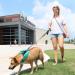 Retractable Dog Leash Fiyade 8m - Chew Proof Steel Chain Lead for Medium to Large Dogs up to 110lbs - Buy Online on GoSupps.com