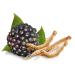 Menopause Herbal Tea - Caffeine Free - Hormonal Balance & Hot Flashes Relief - 28 Days Supply - Black Cohosh, Gingko, Red Clover & More - Menopause Support Tea - Buy Online on GoSupps.com