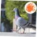 VILLFUL 100 Pcs Pigeon Anklet Numbered Pigeon Deterrent Sound Clips Drumstick Chicken Foot Ring Plastic 1.3X1.3CM Orange - Buy Online on GoSupps.com
