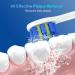 Sonicare Replacement Heads for Philips Electric Toothbrush - KD-D5 Click-On/Snap-On Brush Heads | International Shipping Available - Buy Online on GoSupps.com