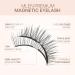 MLEN Dual Magnetic Eyelashes - Reusable 3D False Lashes with Soft Magnets - Style A - Buy Online on GoSupps.com