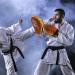 WUWEOT 2-in-1 Punching Mitts Kick Pack Set - Boxing Gloves & Taekwondo Kick Pad Set for Durable Training - Buy Online on GoSupps.com