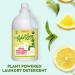 Rebel Green Natural Laundry Detergent - Organic, Hypoallergenic, Peppermint & Lemon Scent, 64 Loads (64 Fl Oz) - Buy Online on GoSupps.com