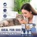 Pheromone Cat Calming Socket - 3x48ml Refills for Stress Relief & Relaxation | Anti-Stress Solution for Cats - Buy Online on GoSupps.com
