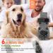 NeuWee Dog Socks 3 Pairs Double Side Anti-Slip Dog Grip Socks with Adjustable Straps Cute Soft Cotton Pet Paw Protector for Small Medium Dogs Indoor on Hardwood Floor Wear (M) M Gray - Buy Online on GoSupps.com
