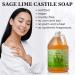 Carolina Sage Lime Castile Soap 1 Gallon - Organic Body Wash with Skin-Softening Olive Oil - Vegan and Pure Castile Soap Liquid - Buy Online on GoSupps.com