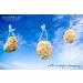 Unbleached Honeycomb Natural Sea Sponge - 100% Organic, Durable & Hypoallergenic - Small 12 cm - Ideal for Bath, Shower, Exfoliation & Art - Kids & Adults - Buy Online on GoSupps.com