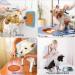 Hysagtek 3 Pcs Licky Mats for Dogs and Cats Dog Lick Mats Slow Feeding Mat with Suction Cup Puppy Lick Mat Pad for Pet Bathing Grooming Training with 1 Spatula + 1 Brush - Buy Online on GoSupps.com