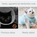 Cat Recovery Suit Cat Professional Surgery Recovery Suit E- Collar & Cone Alternative Cat Post Surgery Suit for Abdominal Wounds or Skin Diseases (Blue L Size) - Buy Online on GoSupps.com
