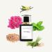 STUNNING | Inspired by MRLY DELNA EXCLUSIF | Pheromone Perfume for Women | Extrait De Parfum | Long Lasting Dupe Clone Essential Oil Fragrance | Perfume De Mujer | (30 ml / 1 Fl Oz) 1 Fl Oz (Pack of 1) - Buy Online on GoSupps.com