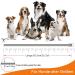 Dewel Tick Collar for Large Dogs & Cats | Natural Waterproof Anti-Flea & Tick Protection | Adjustable 63.5cm Collar Against Fleas Mites & Lice - Buy Online on GoSupps.com