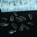 AddFavor 240pcs Almond Nail Tips - Clear Full Cover Medium Length Short Almond Fake Nails for Salon and Home Nail Art - 12 Sizes - Buy Online on GoSupps.com
