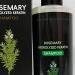 Womens Shampoo 220ml Volumizing Conditioner and Cleansing Shampoo Natural Hair Care for Women Men Sensitive Scalp Daily Travel Home Salon Styling for Dry and Wet Hair - Buy Online on GoSupps.com