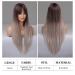 Buy Testar 28 Inch Ombre Brown Gray Wig - Long Straight Heat-Resistant Synthetic Fiber Wig for Women | Perfect for Daily Party & Cosplay Use - Buy Online on GoSupps.com