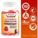 Daily Prebiotic Fiber Gummies for Adults - 60 Count - Digestive Health Support for Men and Women - Natural Dietary Supplement - Buy Online on GoSupps.com