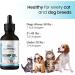 Pet Pawsitive Hemp Oil for Dogs and Cats - 2 Pack - Made in USA - Calming Aid with Omega 3 6 9 - Buy Online on GoSupps.com