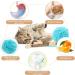 Dacitiery Silvervine Chew Sticks Cat Toys 6 Pack Natural Cat Teeth Nip Cleaning Teeth Chew Catnip Toys for Indoor Cat Teeth Cleaning Kitten Teething and Stress Release - Buy Online on GoSupps.com