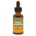 Herb Pharm Certified Organic Ginger Liquid Extract for Digestive Support - 1 Ounce 1 Fl Oz (Pack of 1)