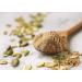 Organic Toasted Pumpkin Seeds Protein Powder - 3lbs | 60% Protein | Non-GMO & Pure | Plant Based Vegan | Kosher | Ideal for Baking, Drinks & Smoothies | Bulk Pack - 1 unit - Buy Online on GoSupps.com