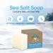 Organic Goat Milk Sea Salt Bar Soap - All Skin Types 3.5 oz - Pack of 2 - Buy Online on GoSupps.com