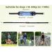 Pecute Jogging Line for Dogs - Elastic Running Leash with Belly Belt for Large & Medium Dogs - Durable Comfortable Up to 100kg - Perfect for Jogging & Outdoor Adventures - Buy Online on GoSupps.com