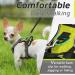 Eagloo Adjustable Dog Harness for Small Dogs | Anti-Train Durable & Reflective | XS Size Ideal for Walking & Jogging Green (1 Pack) - Buy Online on GoSupps.com