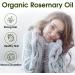 Organic Rosemary Oil for Hair Growth Pure Essential Oil for Dry Damage Hair Dandruff Scalp Treatment Hair Loss Eyelashes Eyebrows Hair Care - Buy Online on GoSupps.com
