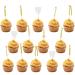 Firefairy Dental Hygienist Graduation Cupcake Toppers Dental Hygienist Retirement Cupcake Toppers Dentist DDS RDH Graduation Tooth Party Decorations for Office 24Pcs
