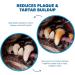 Hartz Dentist s Best DentaShield 5 Sticks Rawhide Chew 48 Sticks - 80% Less Tartar - Healthy Gums - Fresh Breath - Beef Flavor - Dental Care for Dog Pack of 48 Sticks for Small Dogs (3x16 Sticks) - Buy Online on GoSupps.com